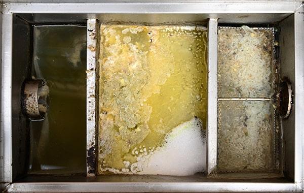 neglecting regular grease interceptor cleaning can lead to plumbing problems, foul odors, and health code violations